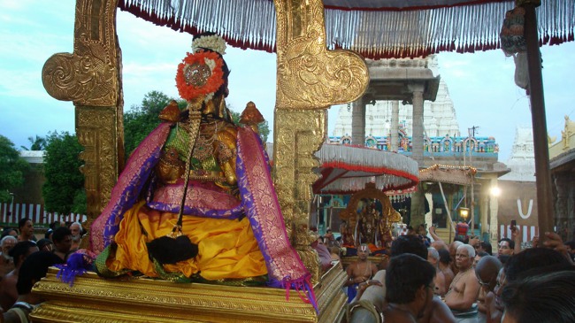 Kanchi Sri Peraralulan Kodai utsavam day 5 2014--40