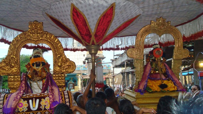 Kanchi Sri Peraralulan Kodai utsavam day 5 2014--41