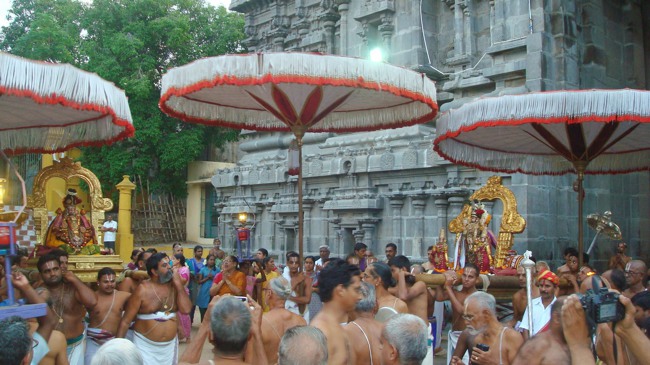 Kanchi Sri Peraralulan Kodai utsavam day 5 2014--44