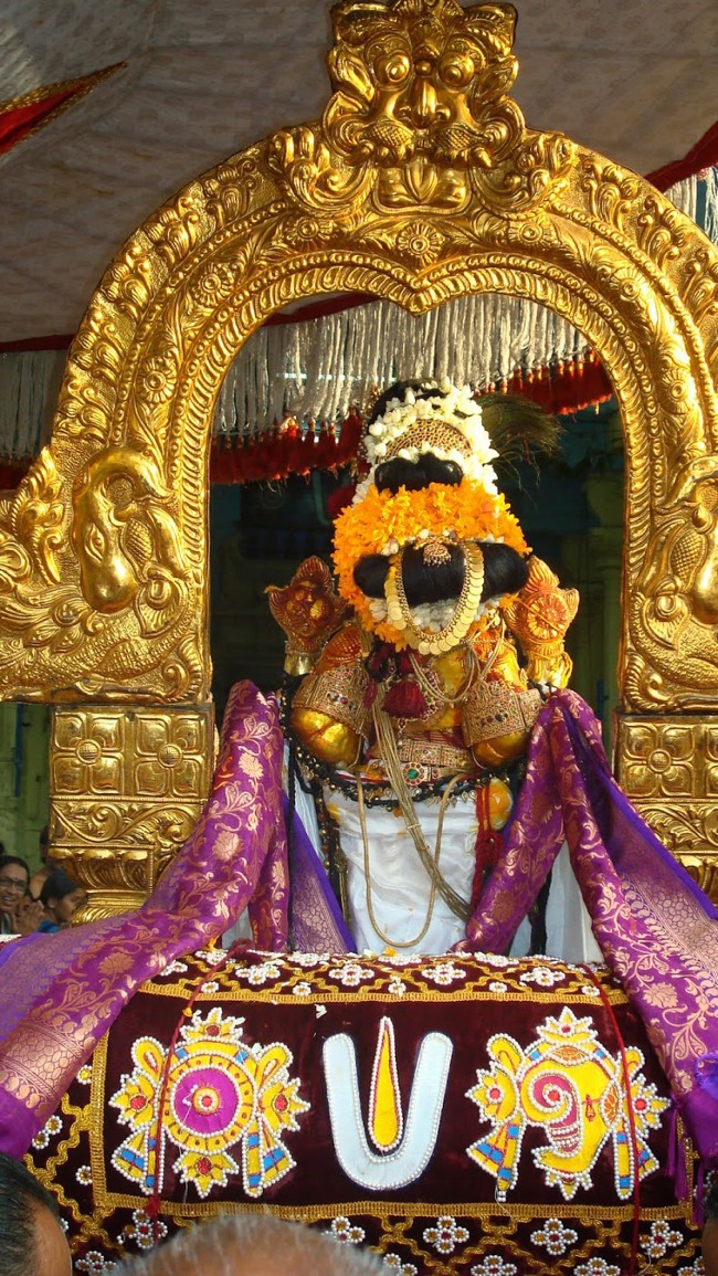 Kanchi Sri Peraralulan Kodai utsavam day 5 2014--52