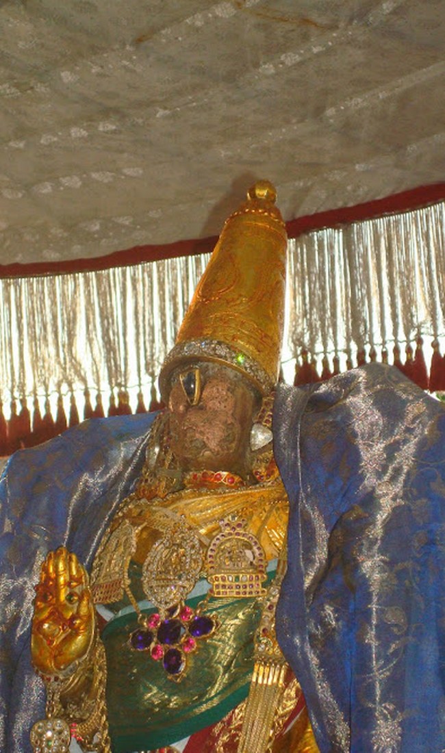 Kanchi Sri Varadaraja Perumal Temple Kodai Utsavam day 4 2014 02
