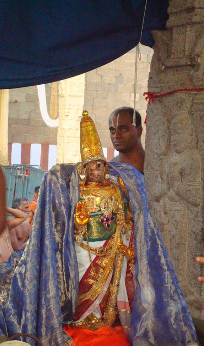 Kanchi Sri Varadaraja Perumal Temple Kodai Utsavam day 4 2014 13