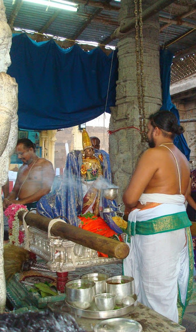 Kanchi Sri Varadaraja Perumal Temple Kodai Utsavam day 4 2014 14