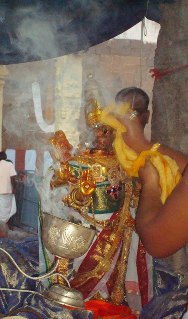 Kanchi Sri Varadaraja Perumal Temple Kodai Utsavam day 4 2014 16