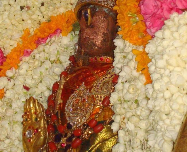 Kanchi Varadar Kovil Jaya Aani Sukla Ekadasi purappadu 2014 02
