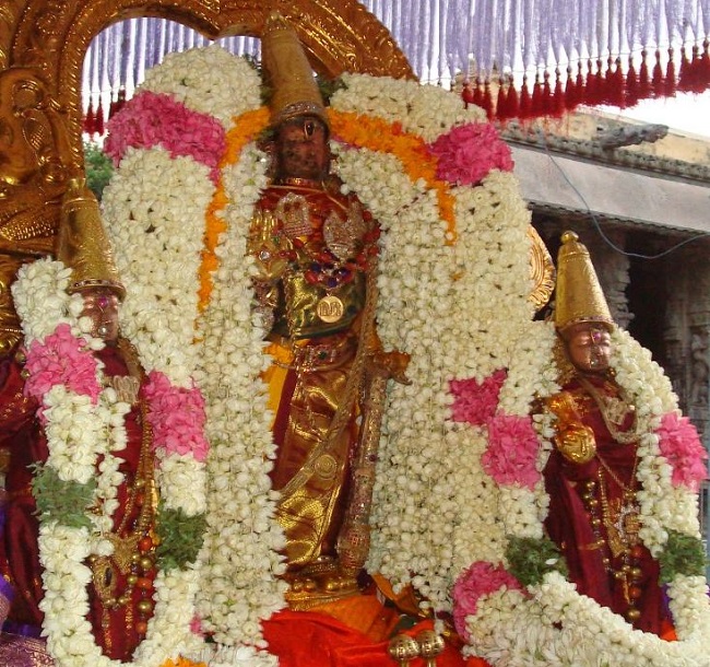 Kanchi Varadar Kovil Jaya Aani Sukla Ekadasi purappadu 2014 13