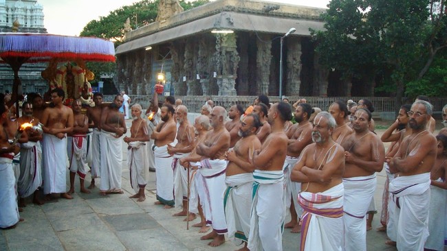 Kanchi Varadar Kovil Jaya Aani Sukla Ekadasi purappadu 2014 24