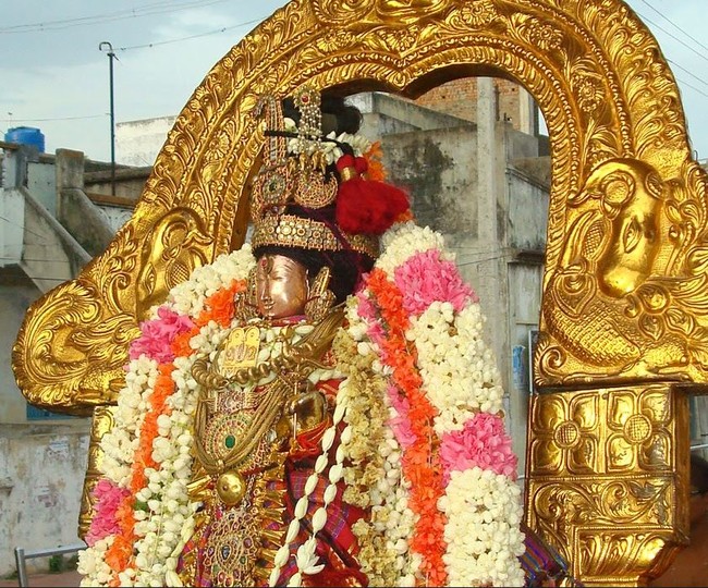 Kanchi Varadaraja Perumal Kovil Sri Andal Utsavam day 2 2014 01