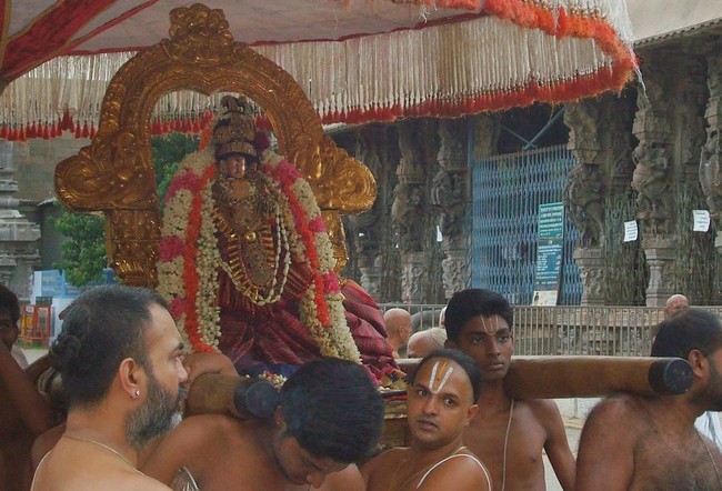 Kanchi Varadaraja Perumal Kovil Sri Andal Utsavam day 2 2014 04