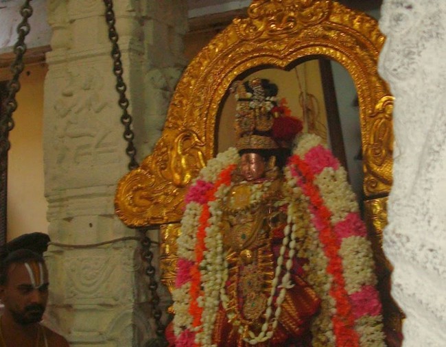 Kanchi Varadaraja Perumal Kovil Sri Andal Utsavam day 2 2014 05