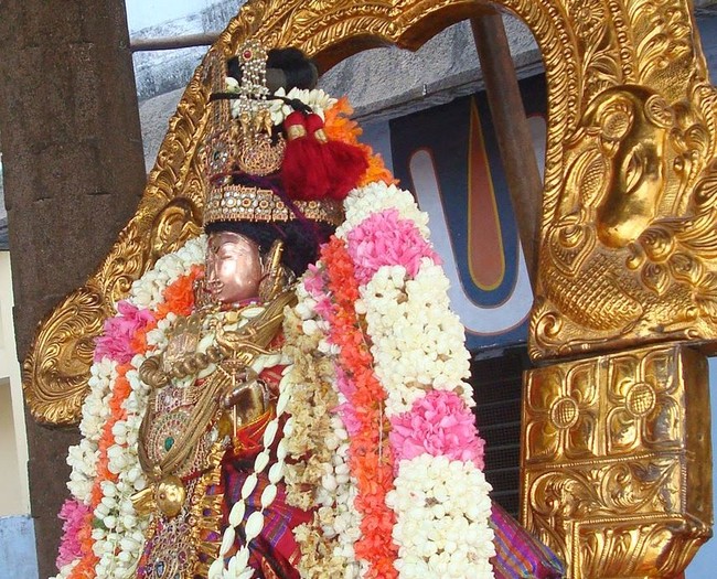 Kanchi Varadaraja Perumal Kovil Sri Andal Utsavam day 2 2014 10