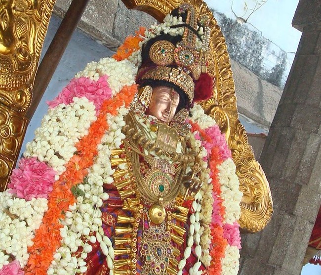 Kanchi Varadaraja Perumal Kovil Sri Andal Utsavam day 2 2014 11