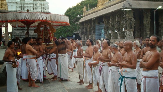 Kanchi Varadaraja Perumal Kovil Sri Andal Utsavam day 2 2014 17