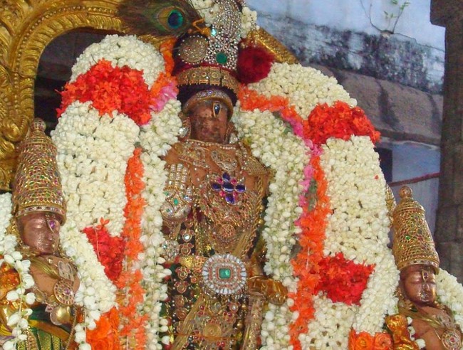Kanchi Varadaraja Perumal Kovil Sri Nathamuni THirunkashatram 2014 07