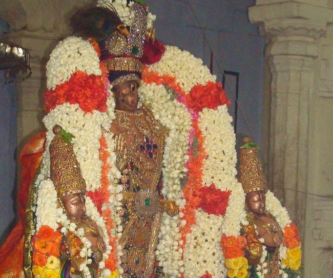 Kanchi Varadaraja Perumal Kovil Sri Nathamuni THirunkashatram 2014 08
