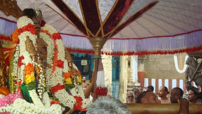 Kanchi Varadaraja Perumal Kovil Sri Nathamuni THirunkashatram 2014 15