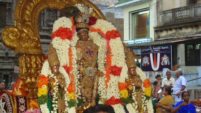 Kanchi Varadaraja Perumal Kovil Sri Nathamuni THirunkashatram 2014 18
