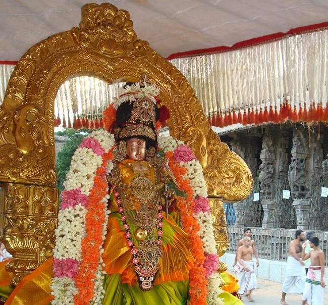 Kanchi Varadaraja  Perumal Kovil  THiruvadipooram Utsavam day 9 2014 01