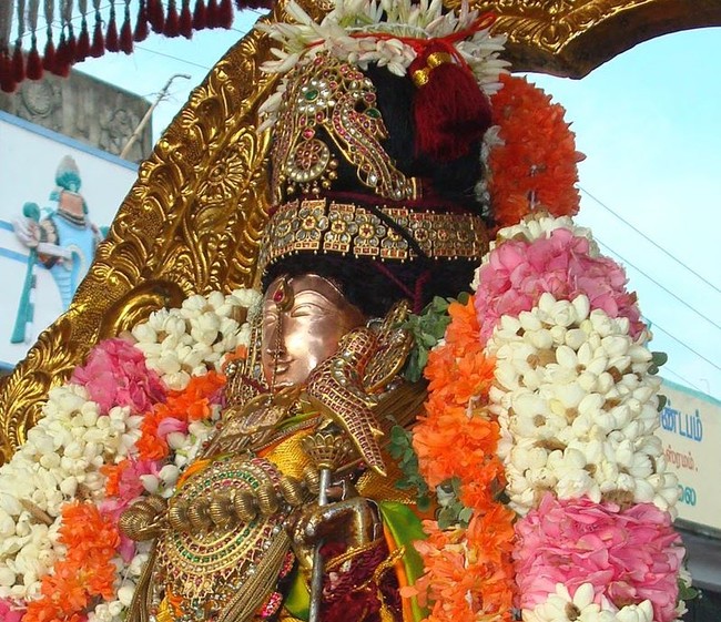 Kanchi Varadaraja  Perumal Kovil  THiruvadipooram Utsavam day 9 2014 11