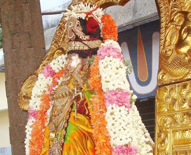 Kanchi Varadaraja  Perumal Kovil  THiruvadipooram Utsavam day 9 2014 12