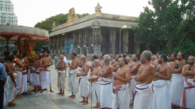 Kanchi Varadaraja  Perumal Kovil  THiruvadipooram Utsavam day 9 2014 23