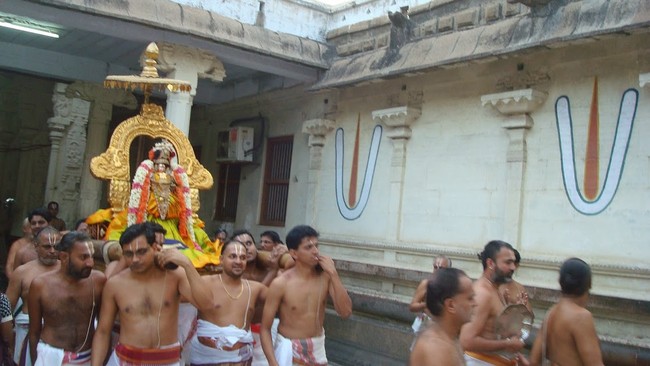 Kanchi Varadaraja  Perumal Kovil  THiruvadipooram Utsavam day 9 2014 26