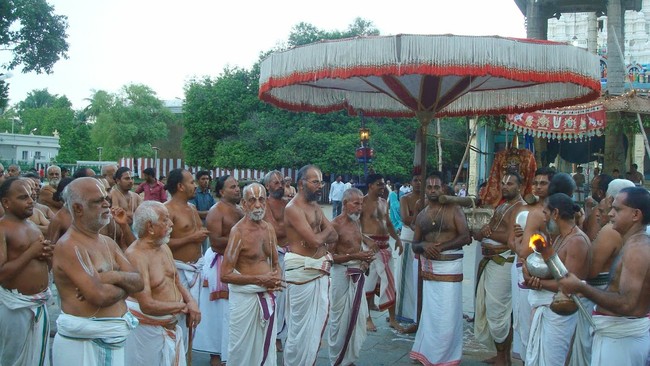 Kanchi Varadaraja Perumal Temple Kodai Utsavam Concludes 2014 30