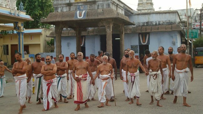 Kanchi Varadaraja Perumal Temple Kodai Utsavam day 3 2014 07