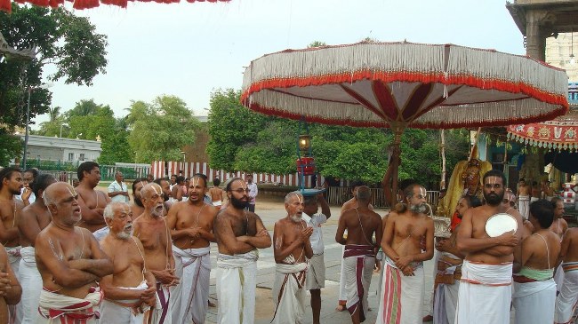 Kanchi Varadaraja Perumal Temple Kodai Utsavam day 3 2014 10