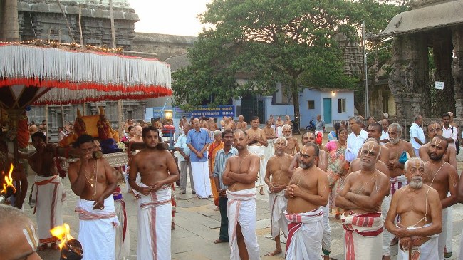 Kanchi Varadaraja Perumal Temple Kodai Utsavam day 3 2014 11