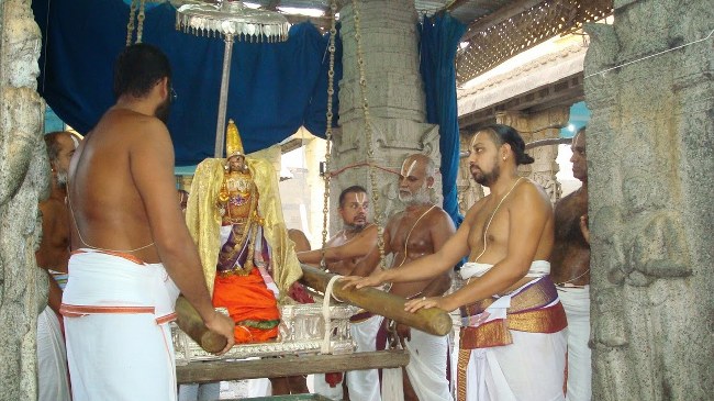 Kanchi Varadaraja Perumal Temple Kodai Utsavam day 3 2014 14