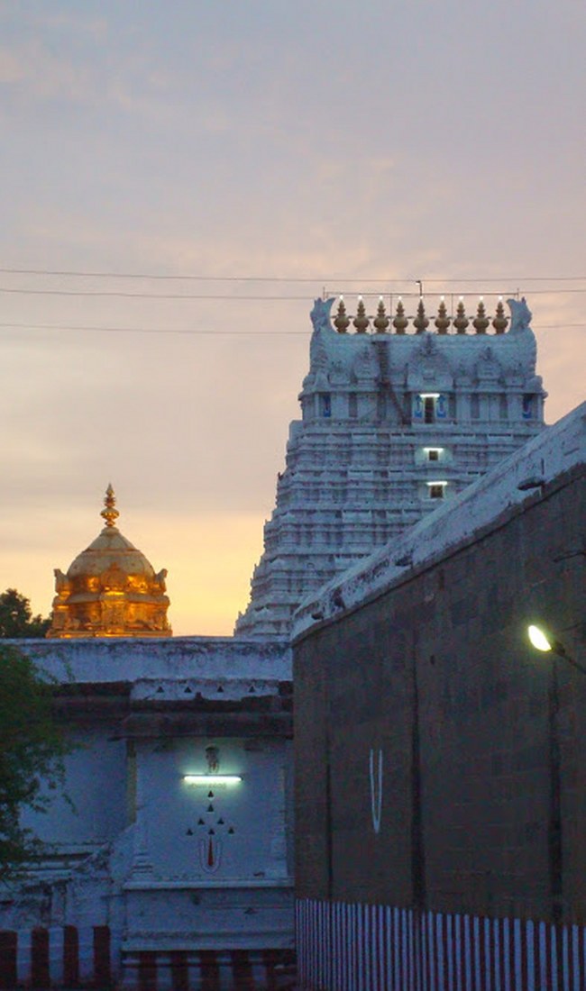 Kanchi Varadaraja Perumal Temple Kodai Utsavam day 3 2014 19