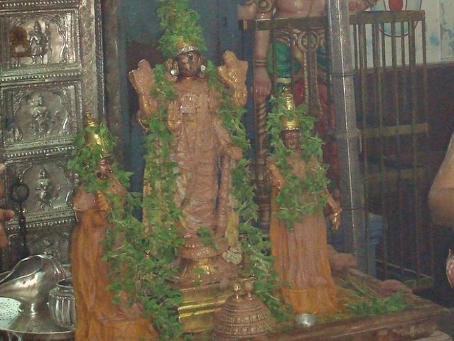 Kanchi Varadaraja Perumal Temple Kodai Utsavam day 6 2014 11