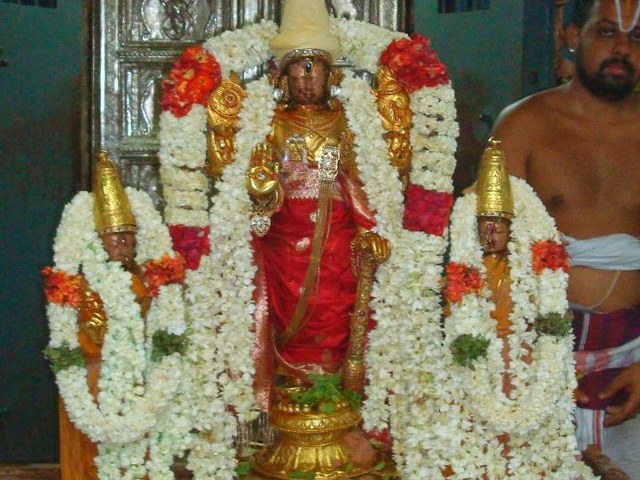 Kanchi Varadaraja Perumal Temple Kodai Utsavam day 6 2014 13