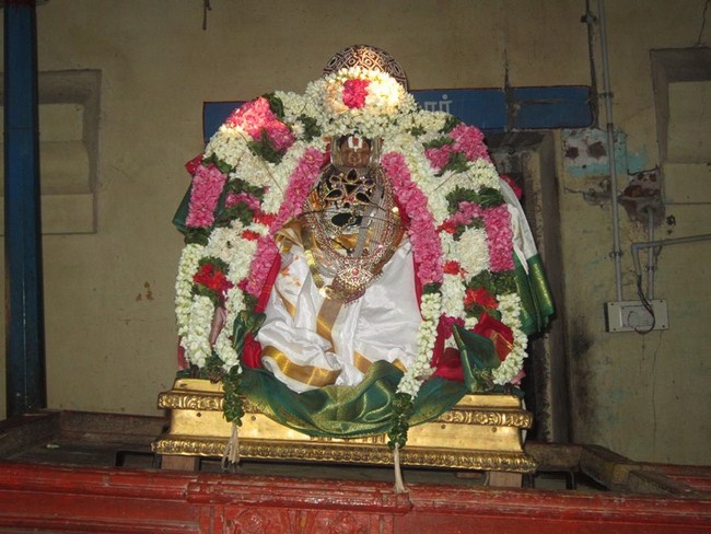 Kattumannarkoil Sriman Nathamunigal ThiruAvathara Uthsavam12