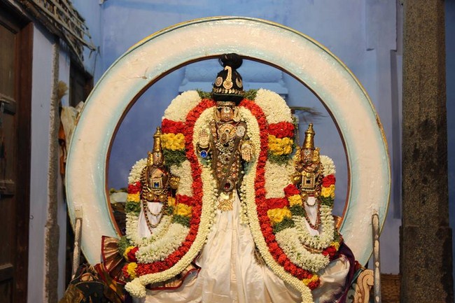 Koyambedu Sri Vaikundavasa Perumal Kovil Jaya Varusha Brahmotsavam13