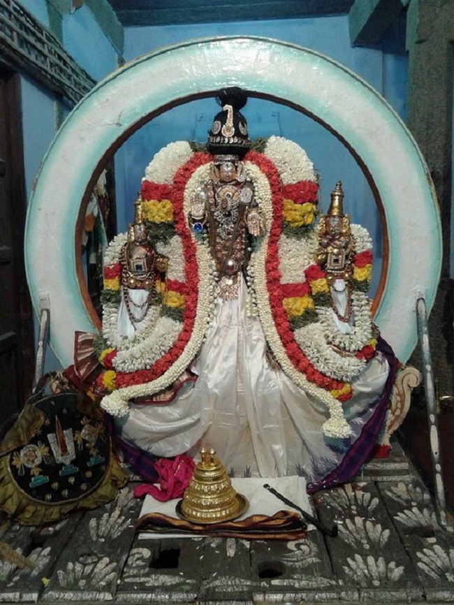 Koyambedu Sri Vaikundavasa Perumal Kovil Jaya Varusha Brahmotsavam15