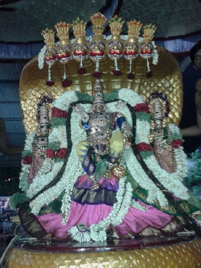 Koyambedu Sri Vaikundavasa Perumal Kovil Jaya Varusha Brahmotsavam18