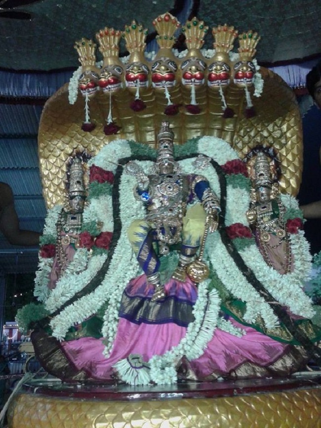 Koyambedu Sri Vaikundavasa Perumal Kovil Jaya Varusha Brahmotsavam20