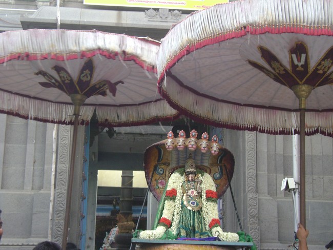 Mylapore Adhikesava Perumal Kovil Andal Utsavam day 3 2014 03