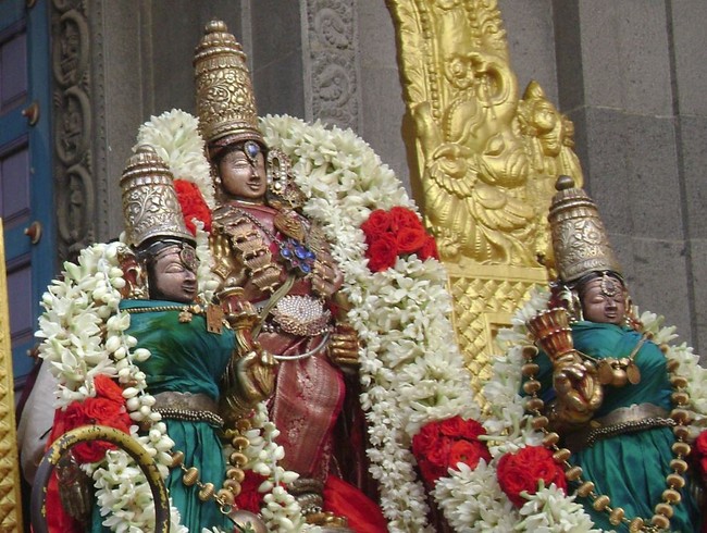 Mylapore Adhikesava Perumal Kovil Sri Andal THiruvaadipoora Utsavam day 2 2014 09