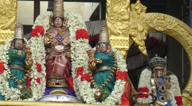 Mylapore Adhikesava Perumal Kovil Sri Andal THiruvaadipoora Utsavam day 2 2014 10