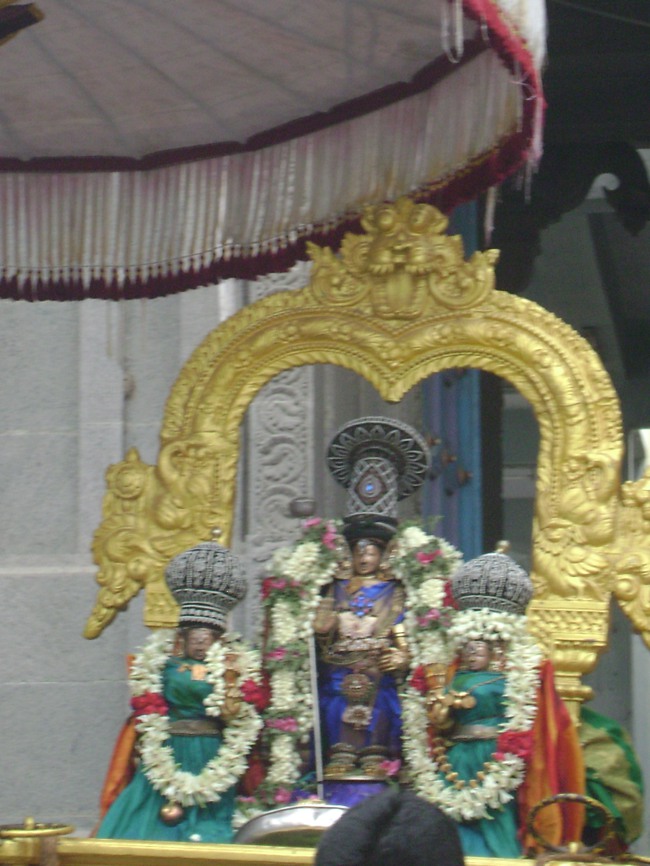Mylapore Adhikesava Perumal Thiruvadipooram utsavam day 6 2014--0010