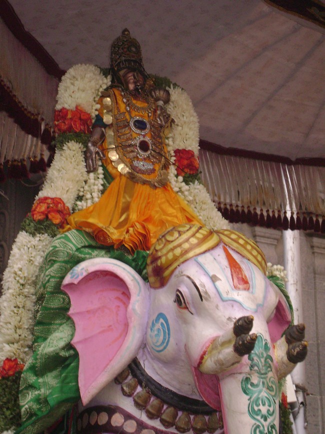 Mylapore Adhikesava Perumal kovil  Sri Andal THiruvadipooram Utsavam day 8 2014 07