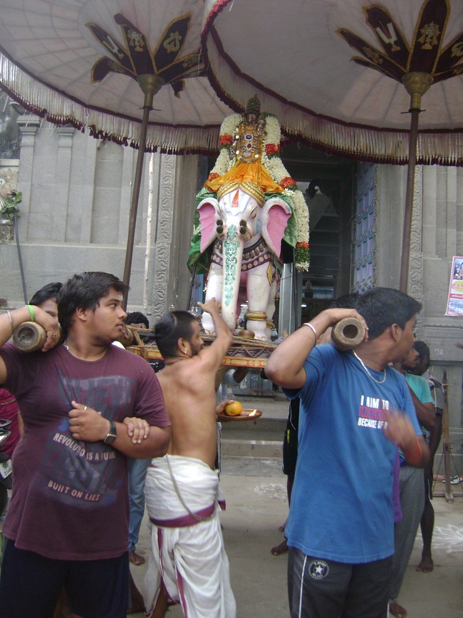 Mylapore Adhikesava Perumal kovil  Sri Andal THiruvadipooram Utsavam day 8 2014 10