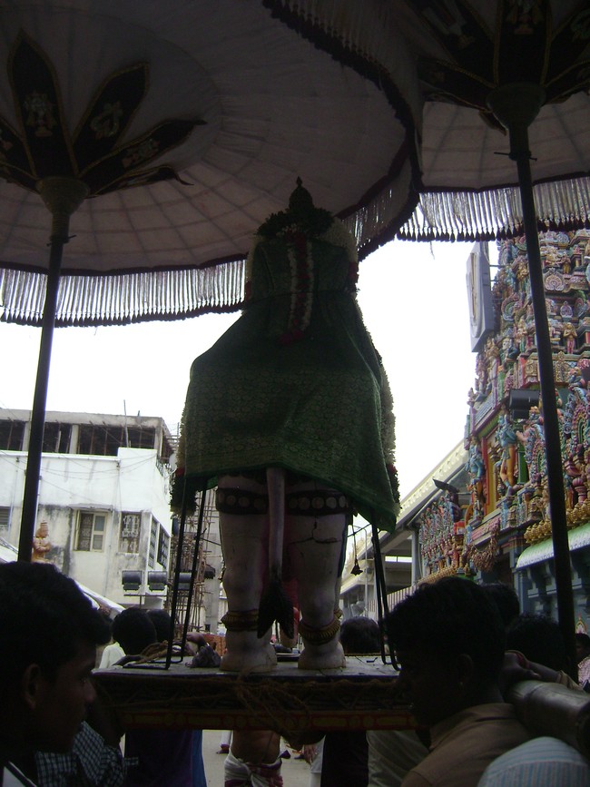 Mylapore Adhikesava Perumal kovil  Sri Andal THiruvadipooram Utsavam day 8 2014 11