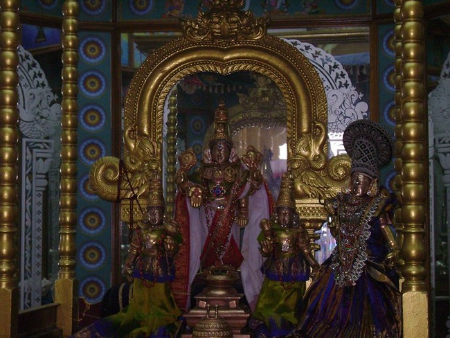 Mylapore SVDD Ammavasai Purappadu And Thiruvadipooram Utsavam14
