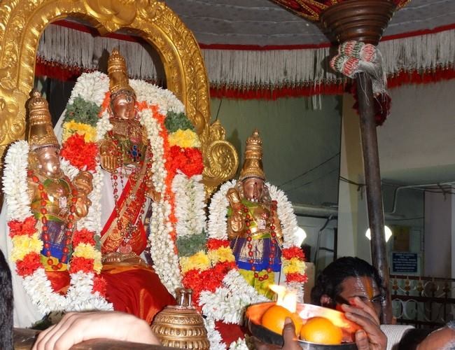 Mylapore SVDD Ammavasai Purappadu And Thiruvadipooram Utsavam29