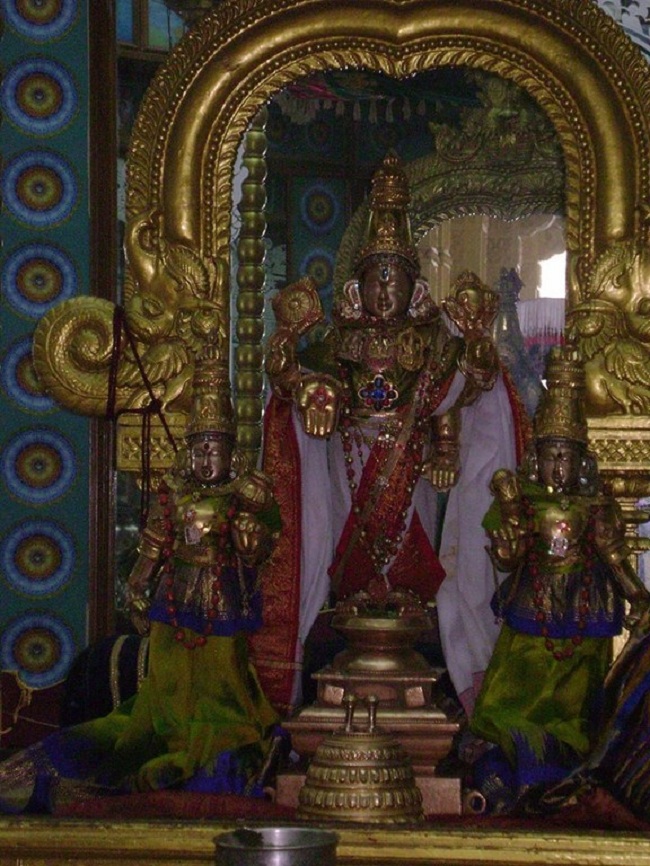 Mylapore SVDD Ammavasai Purappadu And Thiruvadipooram Utsavam4