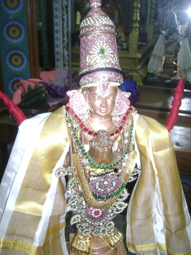 Mylapore SVDD Jaya Varusha Nathamunigal Thirunakshatram 2014 06